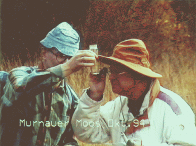 Planktonfischen Murnauer Moos 1994