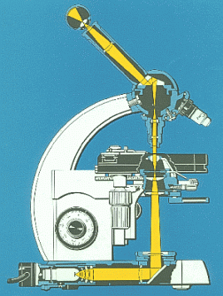 Strahlengang eines Mikroskops